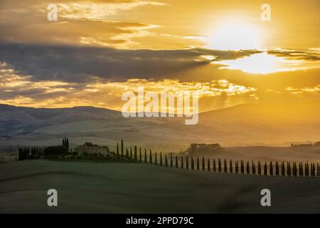 Italy, Tuscany, Castiglione d'Orcia, Sun rising over line of cypress trees in Val d'Orcia Stock Photo