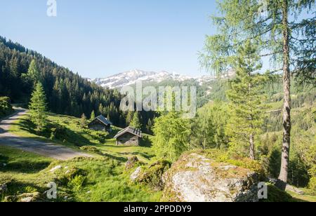 Austria, Salzburger Land, Altenmarkt im Pongau, Alpine huts in spring Stock Photo