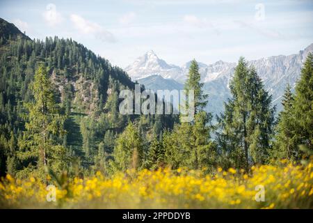 Austria, Salzburger Land, Altenmarkt im Pongau, Mount Faulkogel in summer Stock Photo
