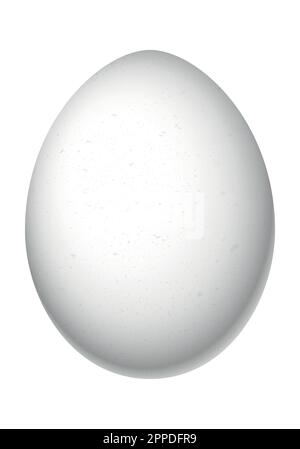 Egg - illustration on white background Stock Vector