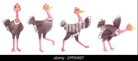 Ostrich . Watercolor painting design . Set of cute animal cartoon character . Vector . Stock Vector