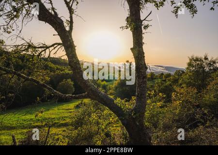 Fog Rolling in Over the Santa Cruz Mountains to Palo Alto Stock Photo