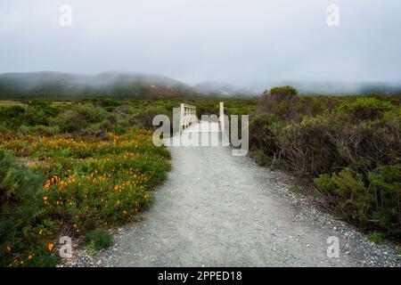 Walking path along the coastline in Montana de Oro State Park, Central California Coast Stock Photo