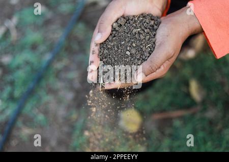 Indian farmer holding soil in hands, happy farming Stock Photo