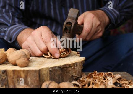 Man cracking walnuts with hammer at table, closeup Stock Photo