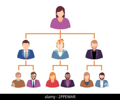 Organizational chart infographic business hierarchy boss to employee ...