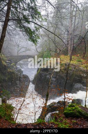 River Braan flowing beneath the single arch ancient footbridge at The Hermitage Dunkeld Scotland UK. March 2023 Stock Photo