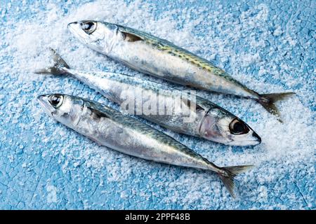 Raw mackerel fish with salt around isolated on white background Stock Photo