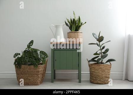 Different tropical plants in wicker pots near white wall at home Stock ...