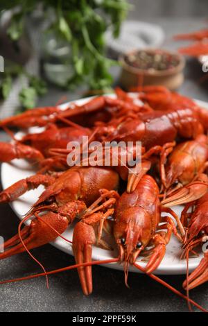 Delicious red boiled crayfishes on plate, closeup Stock Photo