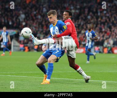 L-R Brighton & Hove Albion's Solly March holds of Manchester United's Tyrell Malacia during The FA Cup - Semi-Final soccer match between Brighton and Stock Photo
