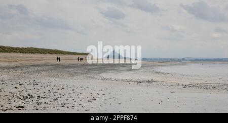 A view of Le Mont Saint Michael from Dragey-Ronthon beach, Normandy, France, Europe Stock Photo