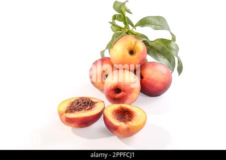 nectarines in bulk on a white background with soft shadow Stock Photo