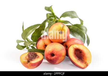 nectarines in bulk on a white background with soft shadow Stock Photo