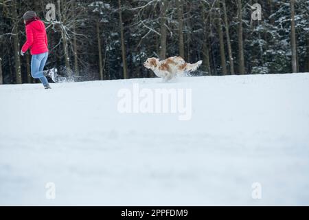 Young woman running with her dog in snowy landscape, Bavaria, Germany Stock Photo