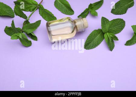 Violet essential oil in the bottle Stock Photo