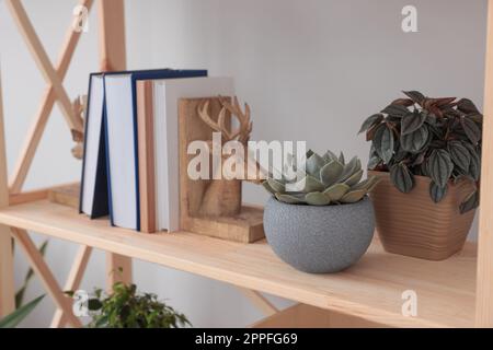 Beautiful houseplants and books on wooden shelving unit near light wall Stock Photo