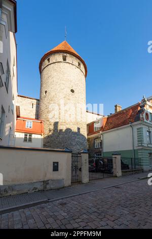 Tallinn, Estonia. July 2022.  exterior view of the Hellemann Tower in the city center Stock Photo