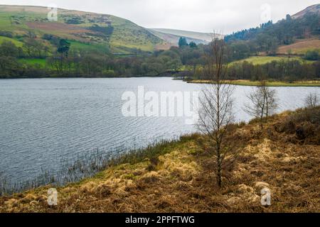 Looking Up Caban Coch Reservoir Elan Valley Powys Mid Wales Stock Photo