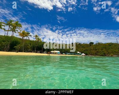 Cinnamon Bay in the Virgin Islands National Park on the Caribbean ...