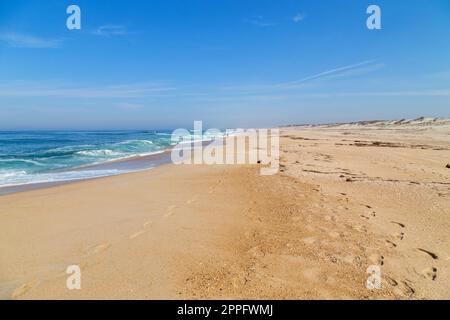 Beautiful beach in Aveiro Stock Photo