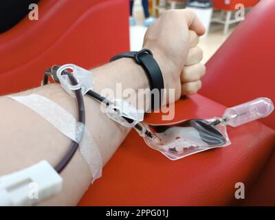 Blood donation, blood transfusion, check specified, fasting, health care. Left arm of caucasian young man with equipment for blood or plasma donations in donation centre. Blood donation concept. Plasma donation concept. Save life concept. Stock Photo