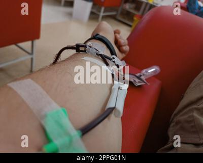 Blood donation, blood transfusion, check specified, fasting, health care. Left arm of caucasian young man with equipment for blood or plasma donations in donation centre. Blood donation concept. Plasma donation concept. Save life concept. Stock Photo