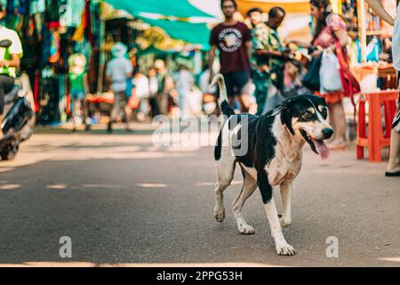 A Xadrez E a Gamão São Vendidas No Mercado Do Bazar Na Índia Índia Do  Presente Da Lembrança Anjuna, GOA Foto de Stock - Imagem de batalha, bazar:  134399884