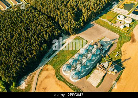 Aerial View Modern Granary, Grain-drying Complex, Commercial Grain Or Seed Silos In Sunny Spring Rural Landscape. Corn Dryer Silos, Inland Grain Terminal, Grain Elevators Standing In A Field Stock Photo