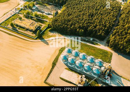 Aerial View Modern Granary, Grain-drying Complex, Commercial Grain Or Seed Silos In Sunny Spring Rural Landscape. Corn Dryer Silos, Inland Grain Terminal, Grain Elevators Standing In A Field Stock Photo