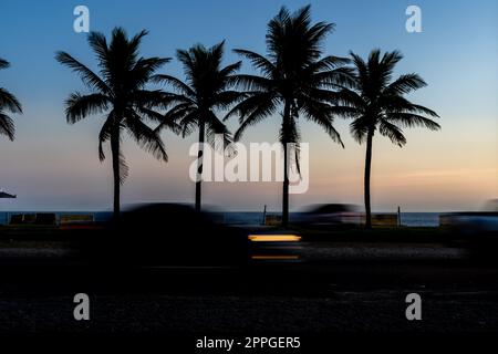Rio de Janeiro beach at sunset. silhouettes of palm trees Stock Photo