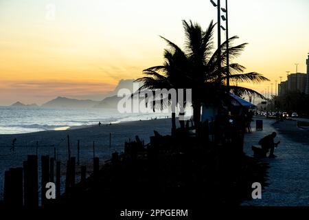 Rio de Janeiro beach at sunset. silhouettes of palm trees Stock Photo