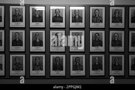 Auschwitz Prisoners Stock Photo