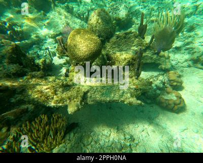 Sunken ship under the sea. Beautifiul underwater colorful coral reef at Caribbean Sea at Honeymoon Beach on St. Thomas, USVI Stock Photo