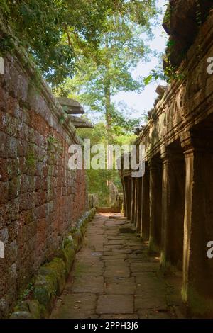 Inner gallery at the Banteay Kdei temple ruins, in Angkor Wat complex near Siem Reap, Cambodia. Stock Photo