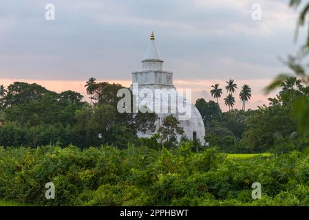 The Yatala Wehera Stupa in Tissamaharama in Sri Lanka Stock Photo