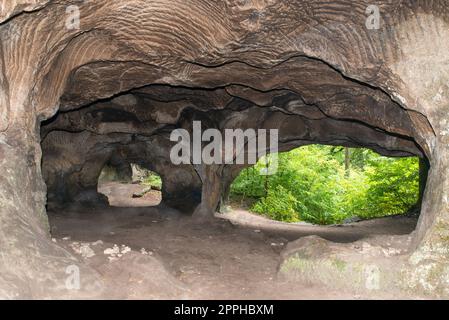 Huel Lee or Hohllay on the Mullerthal trail in Luxembourg, open cave with view to the forest, sandstone rock formation Stock Photo