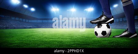 Soccer stadium arena with natural green grass Stock Photo