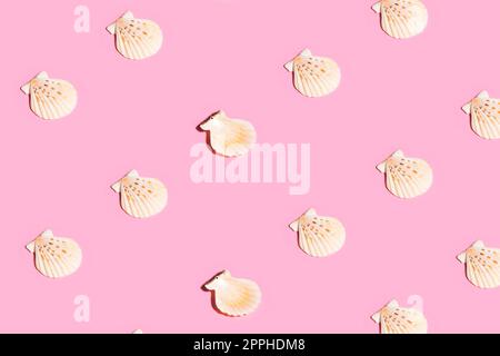Summer pattern made with white seashells on pink background. Minimal trendy summer concept. Stock Photo