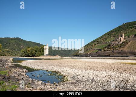 Drought in Germany, low water on Rhine river close to Bingen, Germany Stock Photo