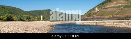 Drought in Germany, low water on Rhine river close to Bingen, Germany Stock Photo