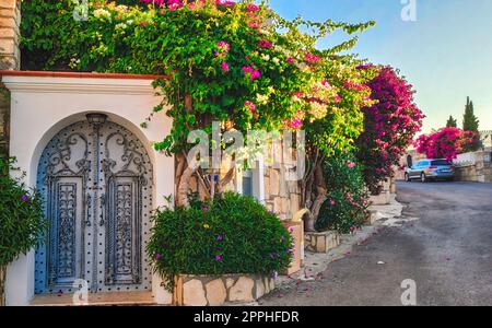 Pink bougainvillea flowers and old vintage door in Bodrum. Bodrum street with a fence of House. Old door on the street. Bodrum Turkey Stock Photo