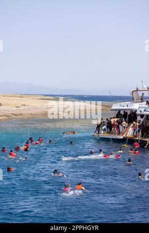 Group of people in life jackets snorkeling in the Red Sea over a coral reef, Dahab, Egypt Stock Photo