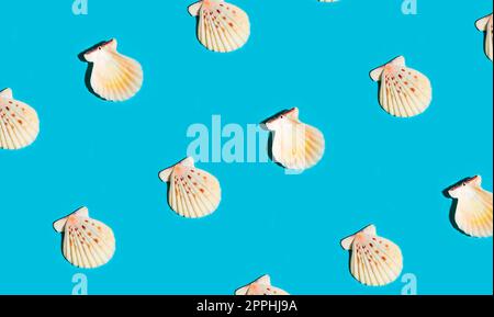 Summer pattern made with white seashells on blue background. Minimal trendy summer concept. Stock Photo