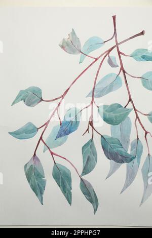 Beautiful watercolor tropical leaves painted on white paper, top view Stock Photo