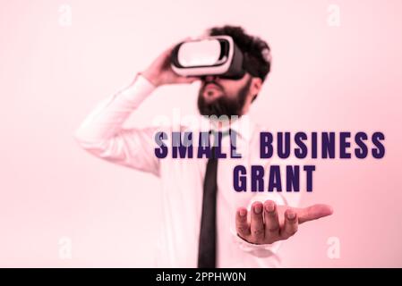 Text showing inspiration Small Business Grant. Business overview an individual-owned business known for its limited size Stock Photo