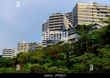 The Interlace is modern apartment buildings complex, Singapore. Designed by Ole Scheeren, partner of the Office for Metropolitan Architecture (OMA). Stock Photo