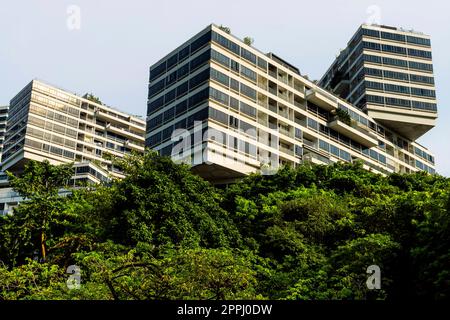 The Interlace is modern apartment buildings complex, Singapore. Designed by Ole Scheeren, partner of the Office for Metropolitan Architecture (OMA). Stock Photo