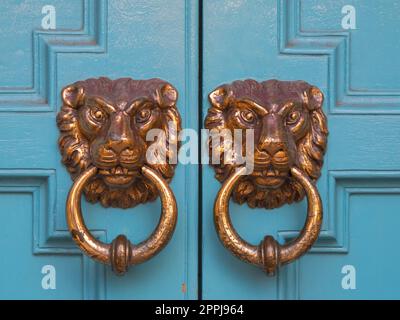 Two brass lion shaped door knocker on wooden door. Stock Photo