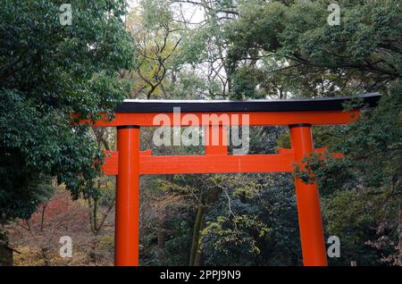 Shimogamo Shrine Torii gate in Kyoto, Japan Stock Photo - Alamy